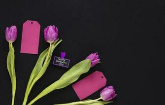 Wallpaper Flowers Bouquet Tulips Happy Purple