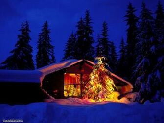 Christmas Tree In Snow Desktop Wallpaper800600