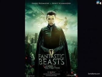 Fantastic Beasts And Where To Find Them Wallpaper X