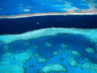 Australia Oceania Great Barrier Reef Nature Wallpaper Azure Waters