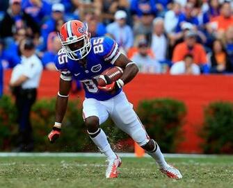 Best Image About Florida Gators