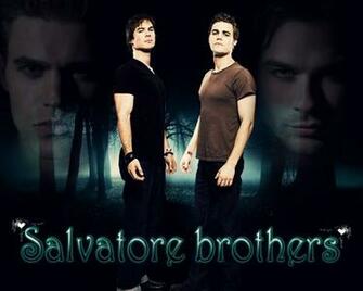 Damon And Stefan Salvatore Image Wallpaper Photos
