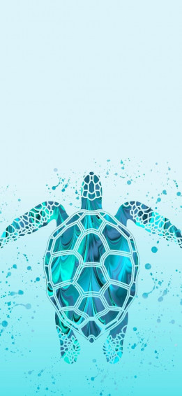 Stunning Turtle Wallpaper