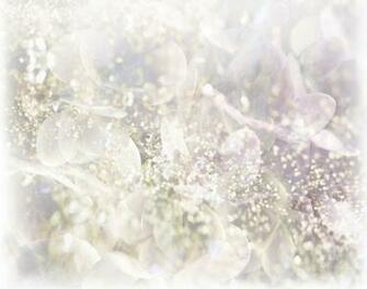 Displaying Image For White Lace Wedding Background