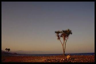 Djibouti Image