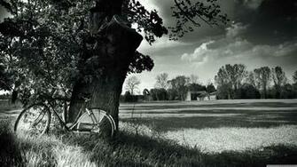 Bike Black And White Nature Potograph Wallpape
