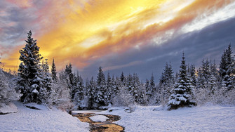 Mac Winter Wallpaper