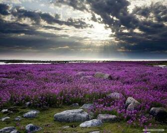 Nature Wallpaper HD Landscape