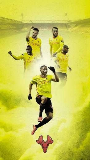 Mark Griffin On New Watfordfc Wallpaper For You Hornets