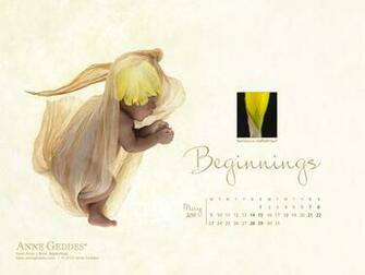 Anne Geddes Annegeddes Wallpaper1280 Alafoto Wallpaper