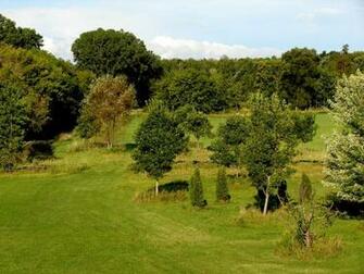 Pastoral Fence Background By Fantasystock