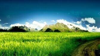 HD Wallpaper Amazing 3d