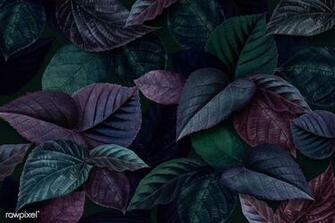 Metallic Green And Purple Leaves Textured Background Image