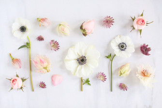 Spring Aesthetic Wallpaper