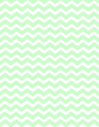 Doodlecraft Minty Chevron Bie Madness