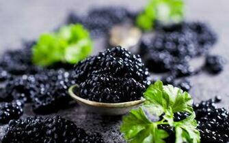 Wallpaper Black Caviar Food Closeup