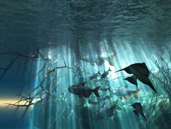 Desktop Wallpaper Online Best Collection Of Ocean