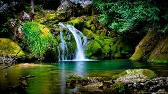 Amazon Rainforest Wallpaper