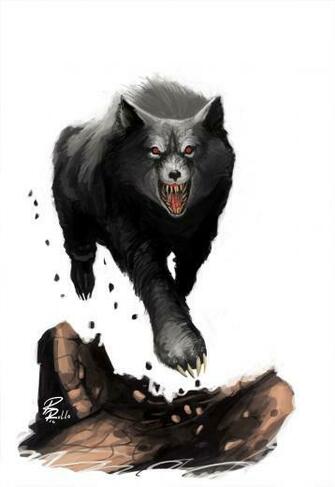 Black Wolf By Shiprock
