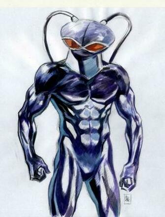 Black Manta Study By Bordon