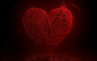 My Heart Wallpaper HD