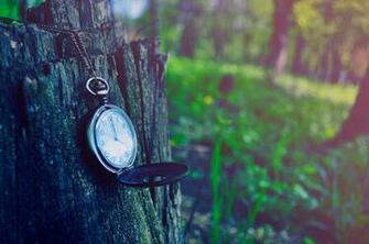 Enchanted Forest Wallpaper