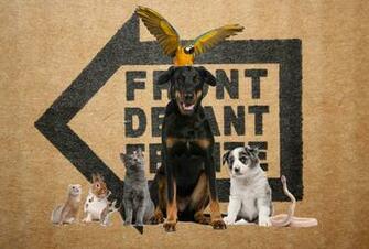 Yuppie Care Houston Pettalk