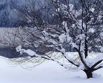 Winter Desktop Wallpaper Scenes In HD