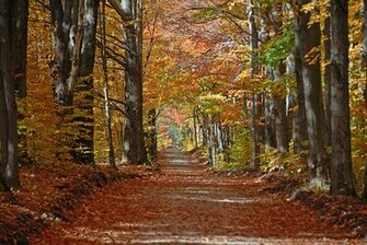 Cool Outdoor Background