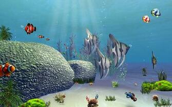 Tropical Water Scene