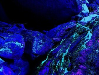 Black Light Wallpaper