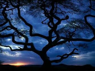 Cool Wallpaper Desktop
