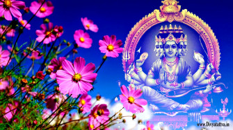 Lord Medha Dakshinamurthy 4k HD Wallpaper Photos Pictures For