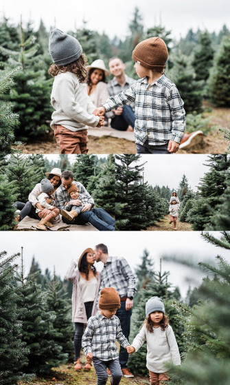 Portland Oregon Christmas Tree Farm Photos Elizabeth Hite