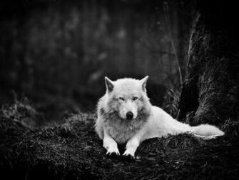 Photo Of The Day Best Wallpaper Gallery