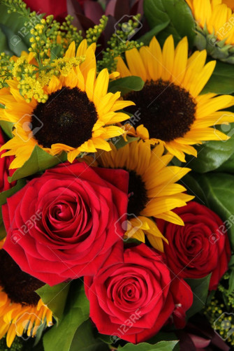 Wallpaper Roses And Sunflowers