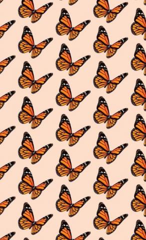 Wallpaper Butterfly Awesome HD