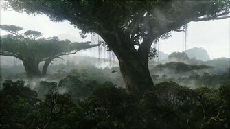 Imelda Mcconnell Rainforest Wallpaper