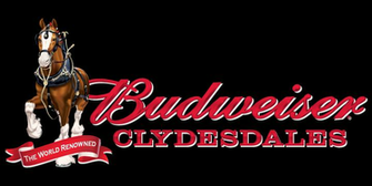 HD Wallpaper Budweiser Clydesdales Christmas Horses X Kb