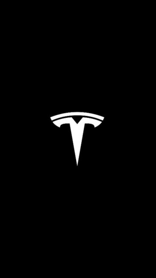 Tanjnetsm On Tesla Logo Motors