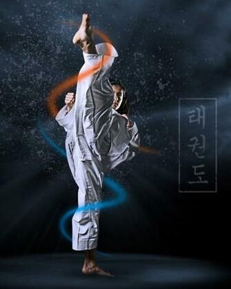 Wallpaper Taekwondo Induk