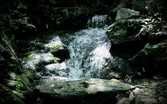 Appalachian Trail Spring