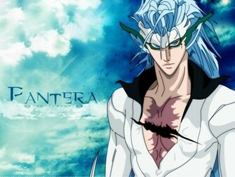 Espada Pantera Bleach Wallpaper Full HD