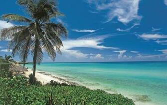 Beautiful Beach Wallpaper