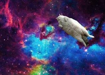 Space Bears Shiny Glittery Junk In Animals Other