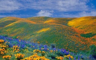 Wallpaper Landscapes Windows August Aaaaaaaawoo