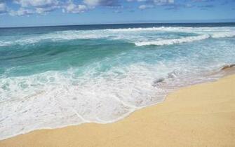 Hawaii Beach Shores Wallpaper In Nature With All