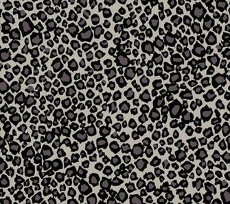 Pictures Leopard HD Mac Wallpaper Apple Background Os X