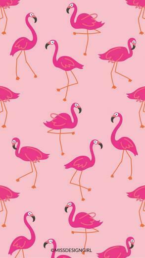 Flamingo Wallpaper 1st BirtHDay In Fondos De
