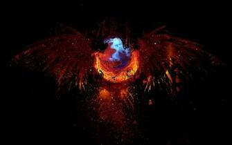 Fire Fox Eagle Wallpaper Myspace Background